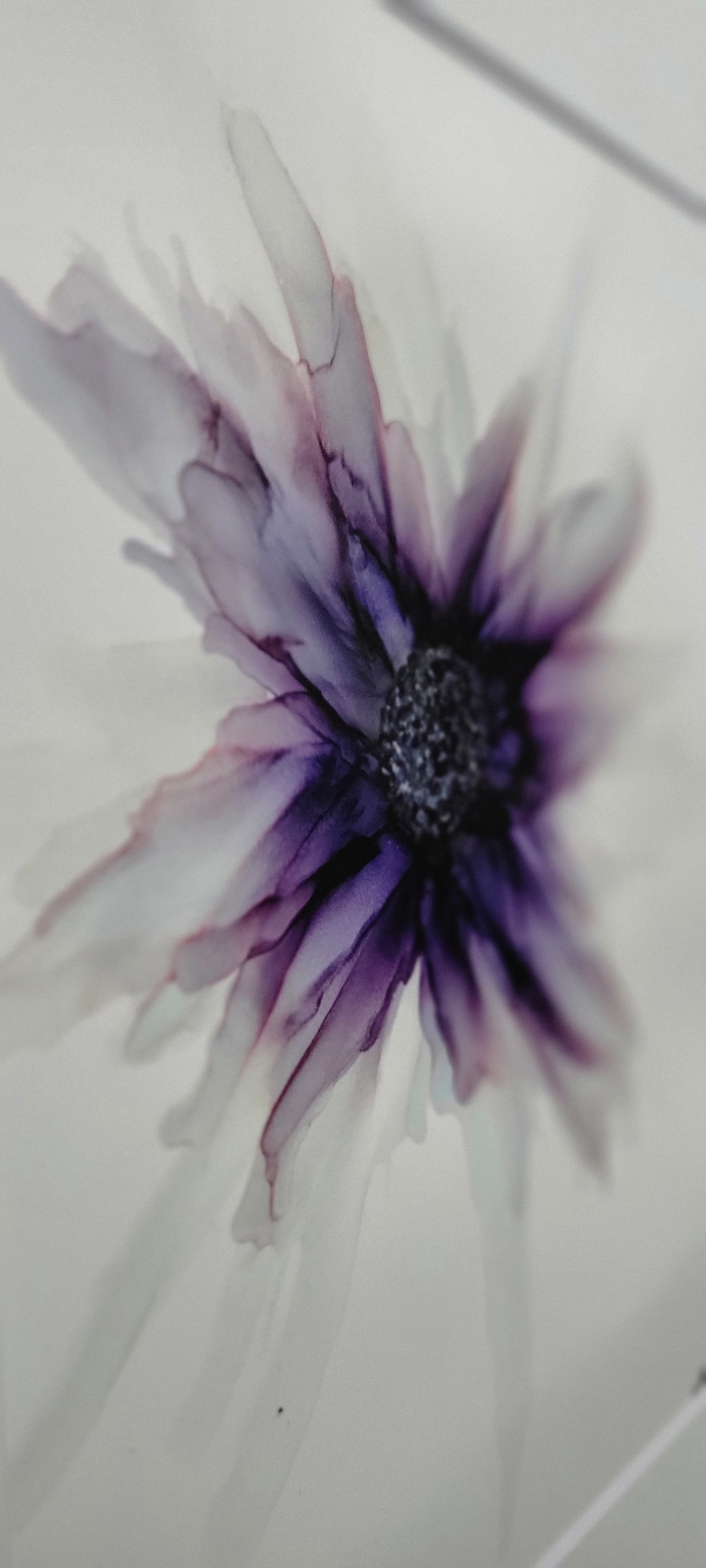 Abstract art purple wispy coneflower